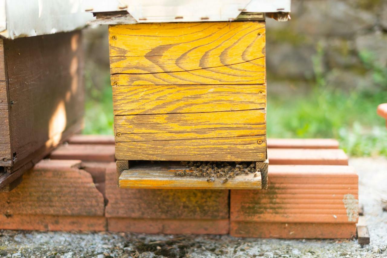 Honey Farm House Virpazar Esterno foto