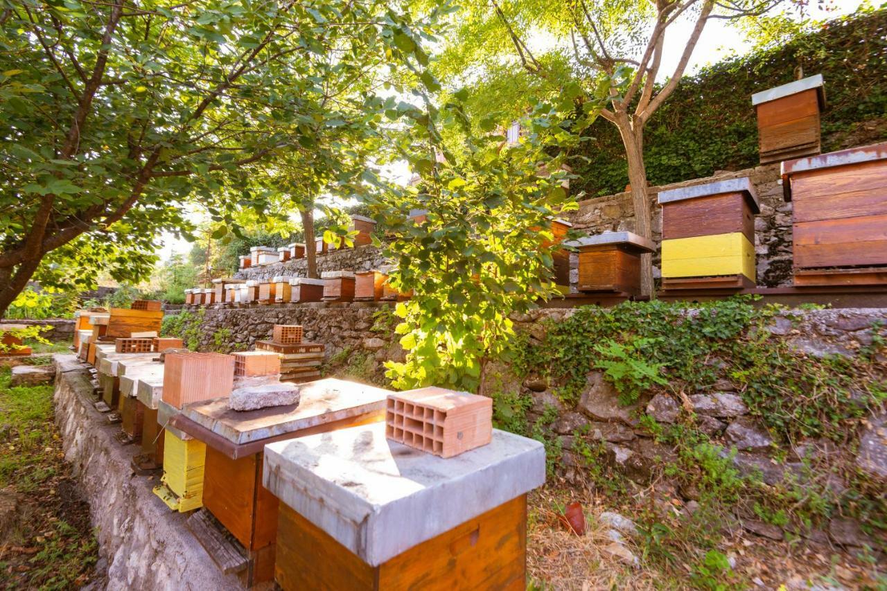 Honey Farm House Virpazar Esterno foto