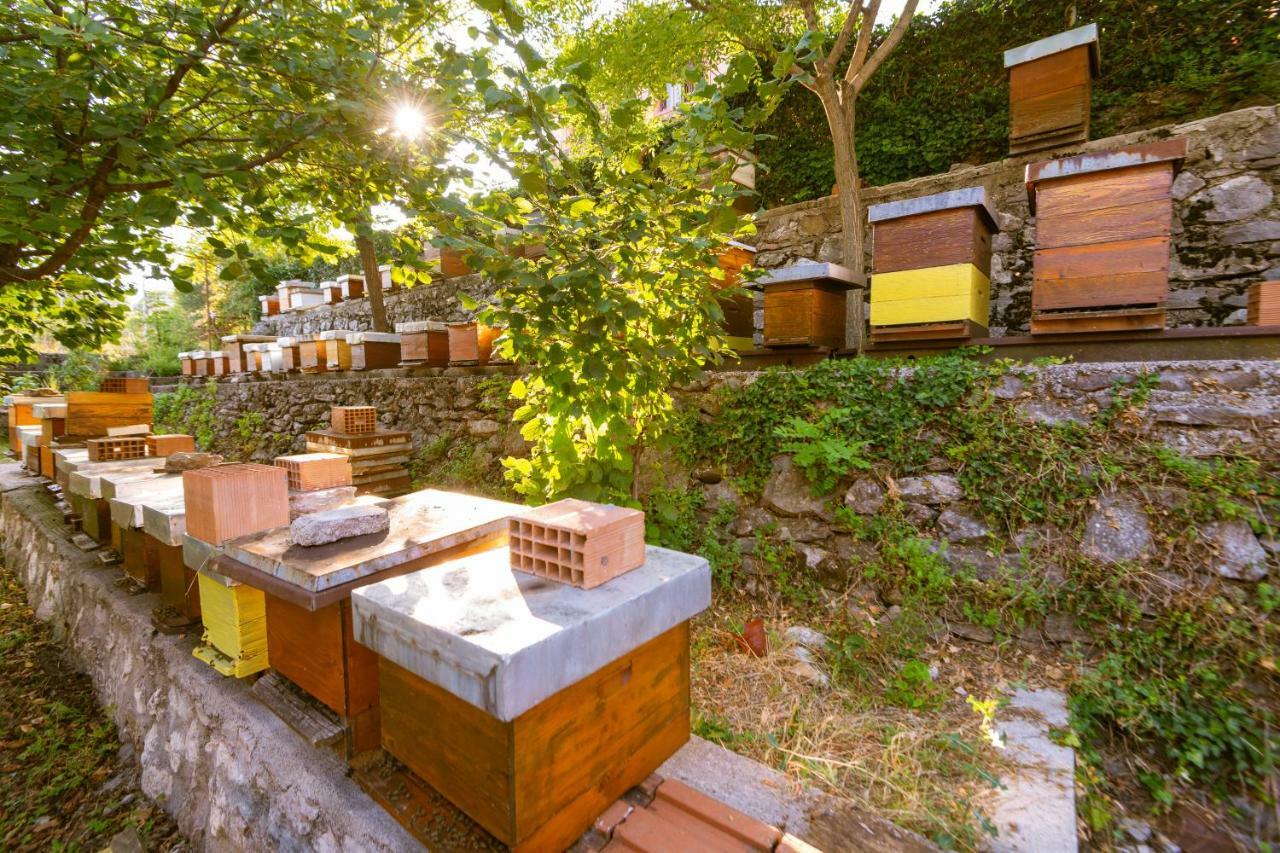 Honey Farm House Virpazar Esterno foto